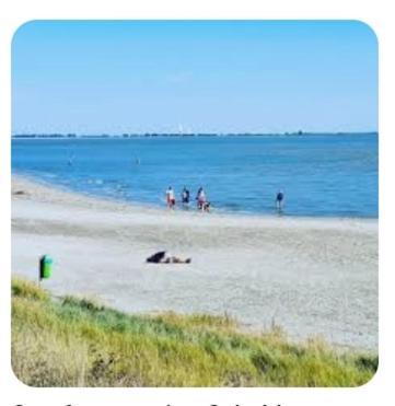 'T Groentje Baarland ภายนอก รูปภาพ